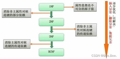 5.数据库系统